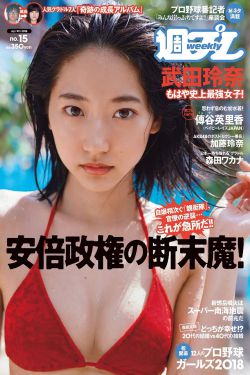 雍正王朝